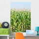 Maisfeld Wall Mural
