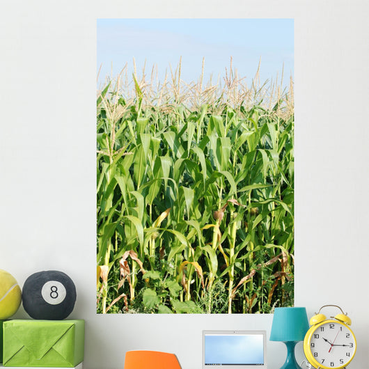 Maisfeld Wall Mural