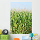 Maisfeld Wall Mural