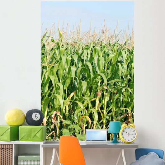 Maisfeld Wall Mural