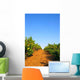 Champ Vigne En Ete Wall Decal