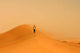 Desert Runner Wall Decal