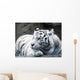 big cat Wall Mural
