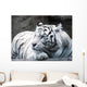 big cat Wall Mural