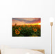 Sunflower field on a warm summer evening Wall Mural