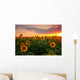 Sunflower field on a warm summer evening Wall Mural