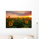 Sunflower field on a warm summer evening Wall Mural