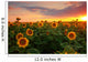 Sunflower field on a warm summer evening Wall Mural