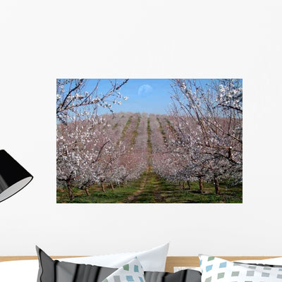Almond Trees Landscape Wall Decal shown on a wall