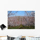 Almond Trees Landscape Wall Decal