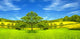 Green Landscape Wall Decal Design 2