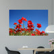 poppy flowers Wall Mural