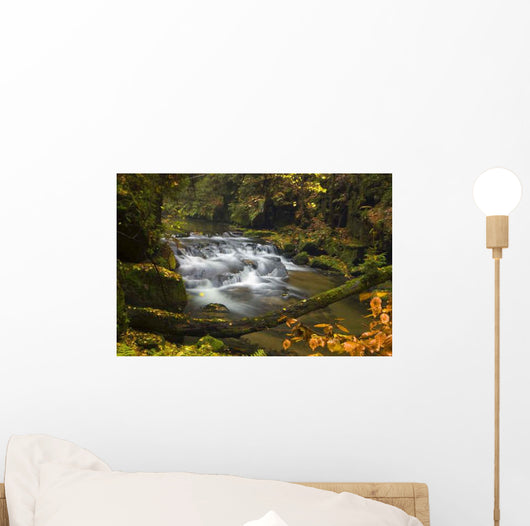 Waterfall Kirnitzschtal Wall Decal