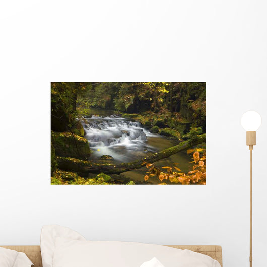 Waterfall Kirnitzschtal Wall Decal