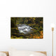 Waterfall Kirnitzschtal Wall Decal