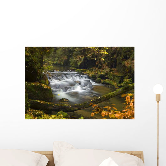 Waterfall Kirnitzschtal Wall Decal