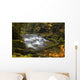 Waterfall Kirnitzschtal Wall Decal