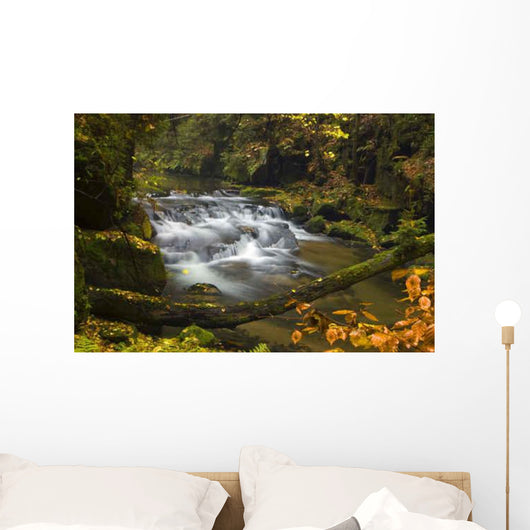 Waterfall Kirnitzschtal Wall Decal