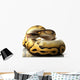 pastave ball python Wall Decal