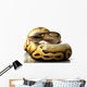 pastave ball python Wall Decal