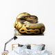 pastave ball python Wall Decal