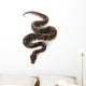 Black Pastel Ball Python Wall Decal
