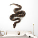 Black Pastel Ball Python Wall Decal