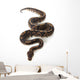 Black Pastel Ball Python Wall Decal