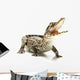 Cuban crocodile Wall Decal