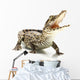 Cuban crocodile Wall Decal