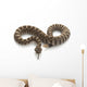 Northern Pacific Rattlesnake Wall Decal