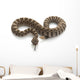 Northern Pacific Rattlesnake Wall Decal
