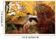 Fall Colours Wall Mural