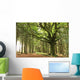 faouenn ponthus Wall Mural