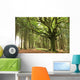 faouenn ponthus Wall Mural