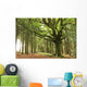 faouenn ponthus Wall Mural