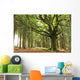 faouenn ponthus Wall Mural