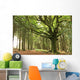 faouenn ponthus Wall Mural