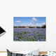 Bluebonnets 02 Wall Mural