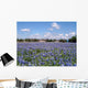 Bluebonnets 02 Wall Mural