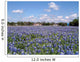 Bluebonnets 02 Wall Mural