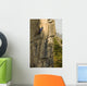 Rock Climber Wall Mural