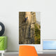 Rock Climber Wall Mural