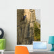 Rock Climber Wall Mural