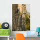 Rock Climber Wall Mural