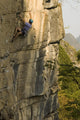 Rock Climber Wall Mural