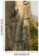 Rock Climber Wall Mural