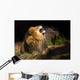 mad lion Wall Mural