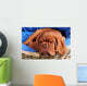 Dogue De Bordeaux Puppy Sleeoing Wall Mural