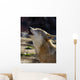 Wolf Song Wall Mural